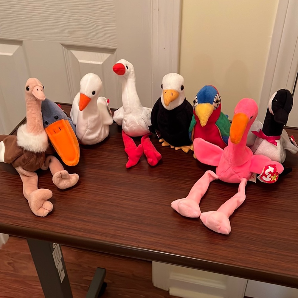 Ty birds